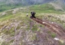 ATV Takes A Tumble  Bye Felicia