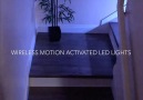 Auralei - Wireless Motion Activated LED Lights Facebook