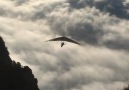 Aurora Borealis Observatory - Gliding above the clouds ...