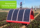 Automated Farming Robot