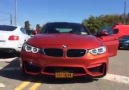 Automatic hide-a-way license plate M4