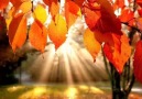 Autumn..