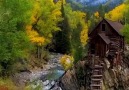 Autumn creates a sea of gold over the Rockies McGee Media