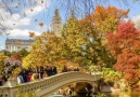 Autumn in Central Park - New York City Kopp