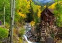 Autumn In Colorado - Breathtaking