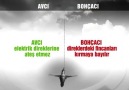 Avcı & Bohçacı Arasındaki Fark