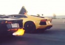 Aventador and Fire