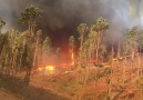 A view from the pines on tuesday. Video taken by one of our brigade members.