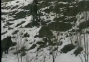 Avkolik - BÖYLE DOMUZ AVI GÖRÜLMEDİ