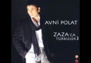 Avni Polat-Potpori 2011