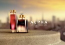 Avon Alpha İle Sıra Dışı Ol!