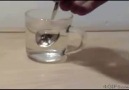 Awesome Chemical Reactions
