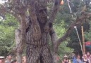 Awesome Ent Cosplay