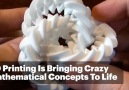 Awesome Math Sculptures Are Bringing The 4th Dimension And Oth...