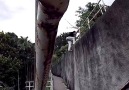 Awesome parkour freerunning scene in Malaysia