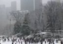 A winter wonderland in Central Park New York City Dan Kurtzman Photography