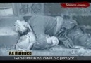 Ax Halepçe