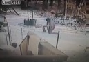 Ayağıyla Kar Attığı Kedi Tarafından Dumura Uğratılan Kadın