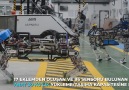 4 AYAKLI ROBOT ARAT ARAZİDE4 LEGGED ROBOT &IS IN THE FIELD