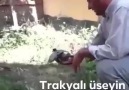 Ayattaki şansım.