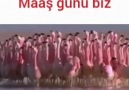 Ay basında biz