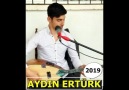 AYDIN ERTÜRK - ZALİM FELEK BENİ ZORA GETİRDİ - 2019