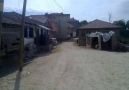 Aydinyayla Köyü Resimler 2011