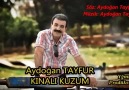 Aydoğan Tayfur - Kınalı Kuzum