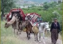 Ay Doğar Gecelere Yine Daldım Düşüncelere Eller Yarin Aldı Ben...