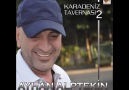 Ayhan Alptekin --- Karşılama  (2012)