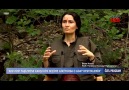 Ayhan Öktem - KAZANAMAYACAKSINIZBU ÜLKEYİ...