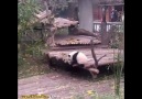 Ayı Irkının Yüz Karası Aşırı Gevşek Yımış Yımış Pandalar