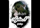 AyKan  -Kedi-