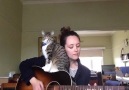 Ayleen O'Hanlon Ft. Georgethe Cat!!!