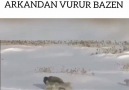 Aynen böyle iste hayat..