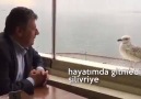 aynen yazık le 11 mars 2017