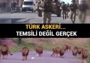 Ayni yürüyüş değil mi? Türk askeri operasyondan dönerken