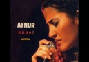 Aynur Doğan - Kevokım