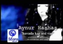 Aynur Haşhaş - Havada Kar Sesi Var