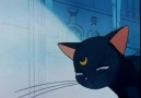 ay savaşçısı bölüm 69 part 2(sailormoon episode 69 part 2)