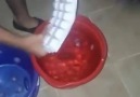 Ays bakıt çelınc şeysi
