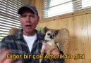 AYY ÇOK TATLII AMA BÖLE KÖPEYİN A*Q