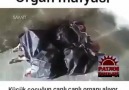 Azad Gül Fan - Ya Rab sen yardım et.Çocuk organ mafyası...