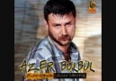 AZeR BüLBüL-SeN HiÇ AŞıK OLMaDıNKi SaNa YaLaN GeLeBiLiR.!