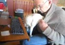 Baba kucağı gibisi yok...