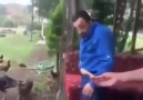 Baba şeytan mi taşliyon amk eosowuwgekwjw