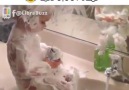 Babasının traş köpüğü ile banyo