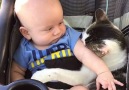 Babies and cats are best friends!