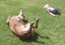 Babies and dogs are the best of friends