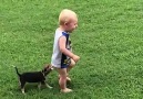 Babies and puppies are best friends